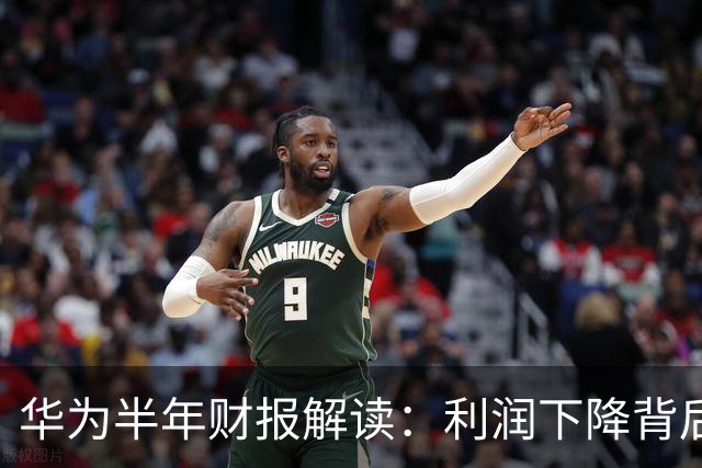 华为半年财报解读：利润下降背后的战略布局
