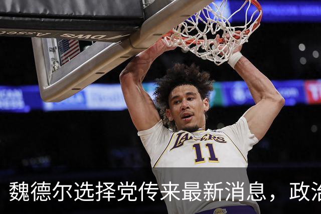 魏德尔选择党传来最新消息，政治合作密切加强！
